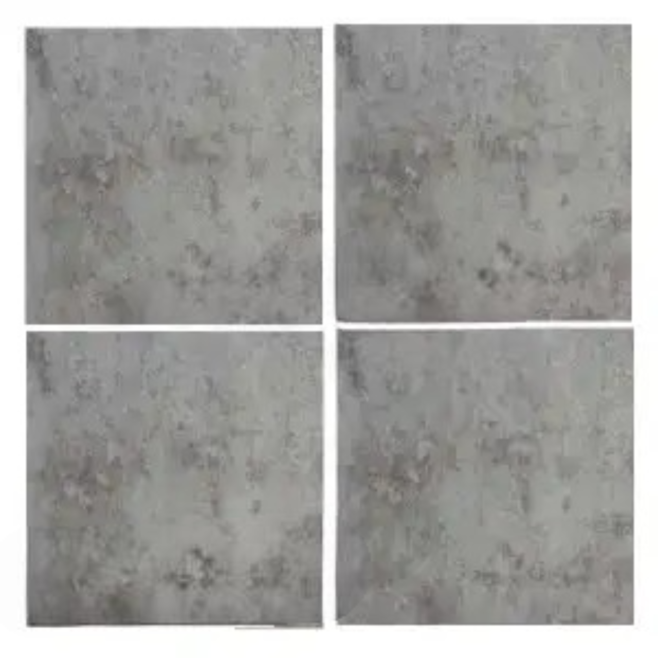 Sàn Nhựa MsFloor 2mm SW778
