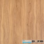 Hèm Nhựa Khóa IDE HP6804